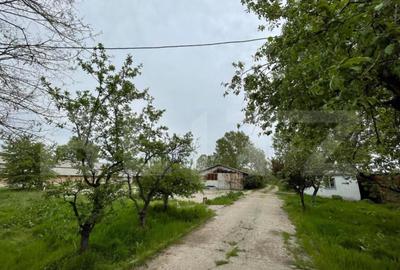 Oportunitate! Teren intravilan 3 hectare, Bals - 3