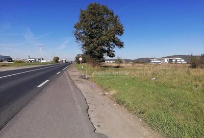 Teren intravilan 3000 mp constructii industriale - 2