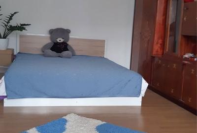 Apartament cu 2 camere în Dristor - 7