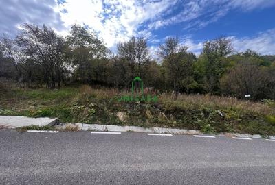 Teren intravilan 828 mp/Baile Govora - 4