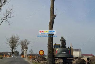 Teren de 25000 mp, în Central - 3