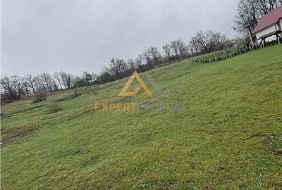 Teren de 11700 mp, în Est - 1