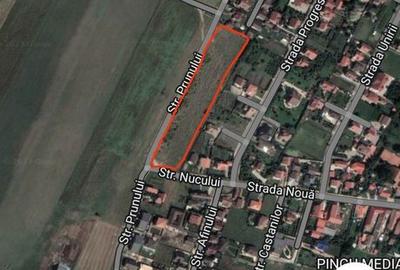 Spațiu comercial, în Central