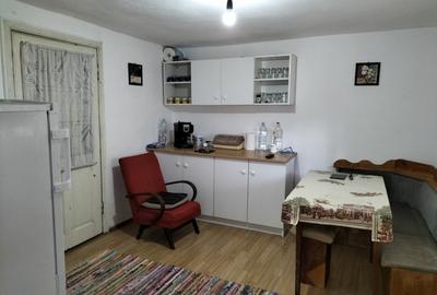 Vând / schimb casă P + 1 și 1000 mp teren în localitatea Stâlpeni. - 3
