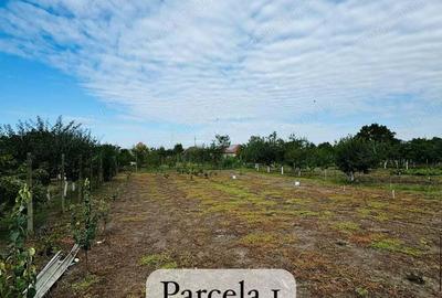 AV622 Teren intravilan, ORTISOARA, 2 parcele, toate utilitatile - 3