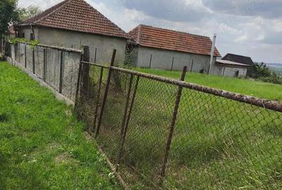 Teren în Tășad - 6