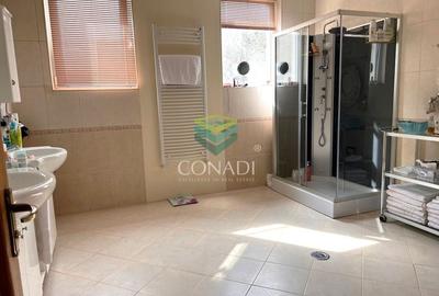 Baneasa- Iancu NIcolae, vila cu 6 camere de vanzare, 400 mp utili - 10