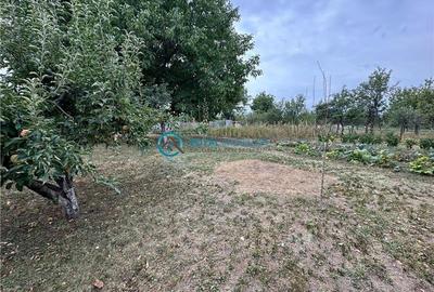 Royal Imobiliare - Vanzare vila zona Lipanesti - 34
