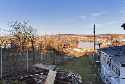 Casa 3 camere, curte comuna, Stadion CFR, cart. Gruia, Cluj-Napoca - 16