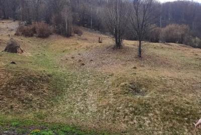 Teren în Băiuț - 5