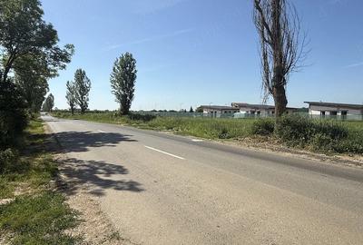 Teren de 2490 mp, în Pietroșani