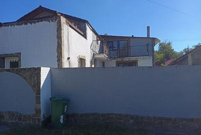 Casă cu 4 camere în Teliucu Inferior