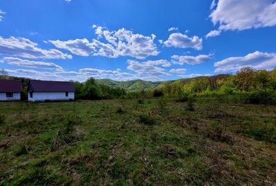 Teren de 70000 mp, în Șerani - 2