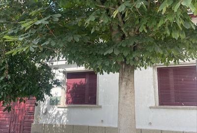 Casă cu Teren 1726 Mp în Central - 15