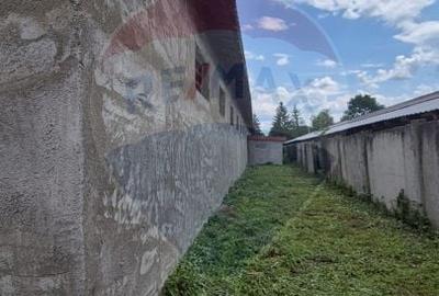 Spațiu industrial, de 714 mp, în Dărmănești - 3
