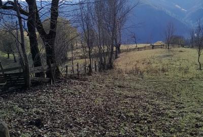 Teren de 1398 mp, în Albac