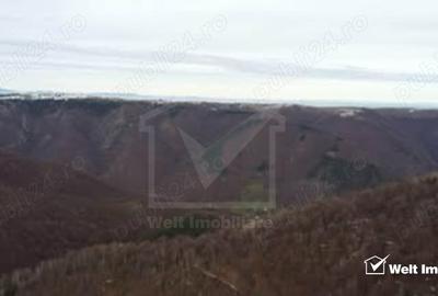 Teren Construcții intravilan de 1100 mp, în Mărișel - 3