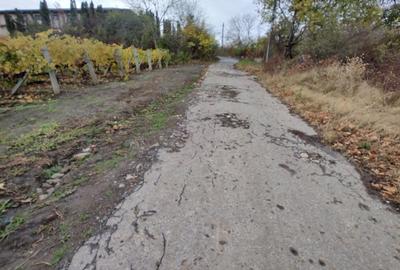 Teren de 750 mp, în Șorogari - 6