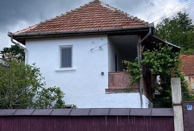 Casă cu 3 camere cu Teren 156 Mp în Vaideeni - 1