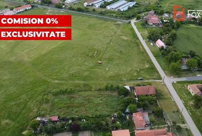 Teren Construcții intravilan de 6400 mp, în Pădureni (Jebel) - 5