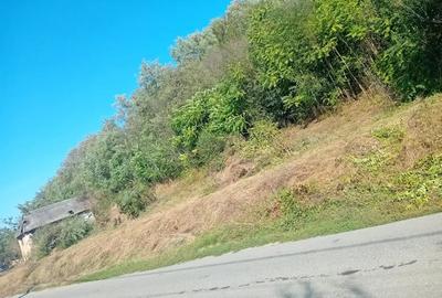 Casă cu 2 camere cu Teren 7000 Mp în Salatiu - 2