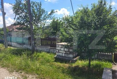 Casă cu 3 camere cu Teren 4200 Mp în Mihai Viteazu - 7