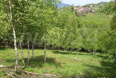 Teren de 2200 mp, în Moieciu - 1