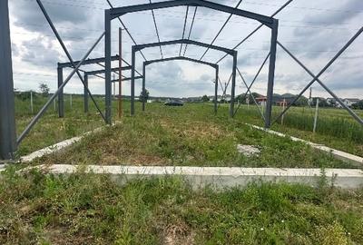 Teren Construcții intravilan de 2000 mp, în Săbăreni - 15