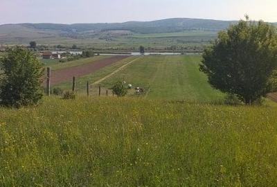 Teren Construcții extravilan de 18000 mp, în Feldioara - 7