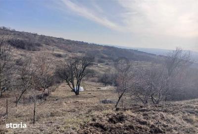 Teren de 600 mp, în Nojorid