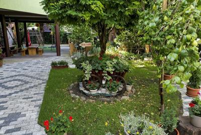 Casă individuală cu 10 camere cu Canalizare în Banu Mărăcine - 6