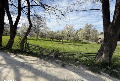 Teren de 1355 mp, în Tohănița