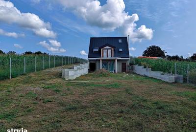 Casă cu 3 camere cu Teren 1900 Mp în Vârfu Câmpului - 19