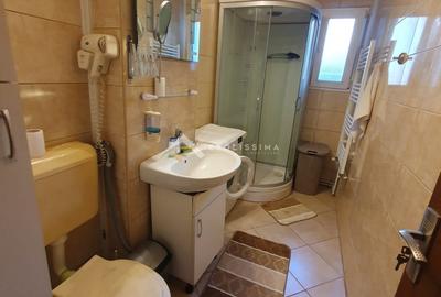 Apartament cu 2 camere semidecomandat, mobilat în Astra - 13