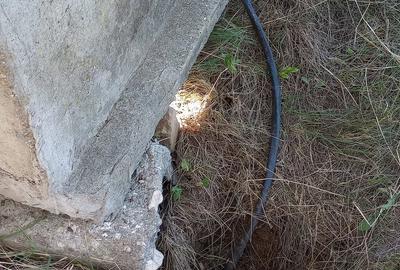 Teren de 460 mp, în Central