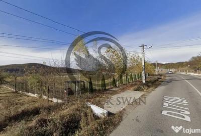 Teren de 26908 mp, în Iedera - 3