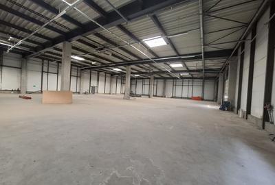 Spațiu industrial, de 1,700 mp, în Vest - 3