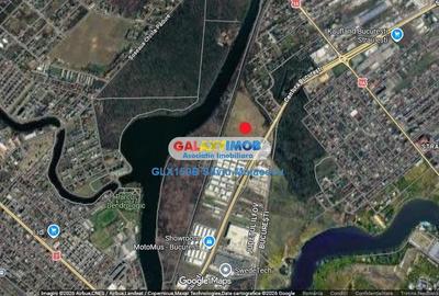 Teren intravilan de 64726 mp, în Mogoșoaia - 3