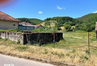Teren de 780 mp, în Tărcaia - 4