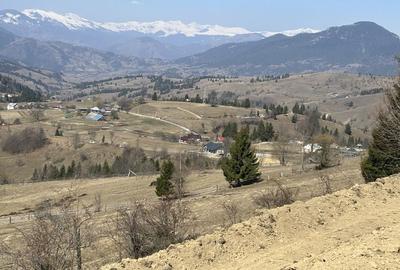 Teren de 2000 mp, în Ivăneasa - 4