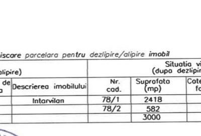 Teren Construcții intravilan de 3000 mp, în Tâncăbești - 3