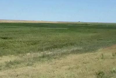 Teren de 40000 mp, în Plopu - 1