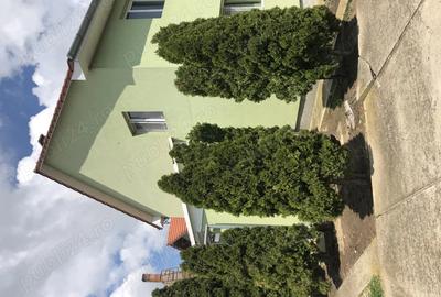 Casă cu 4 camere cu Teren 2000 Mp în Pădureni (Jebel) - 1