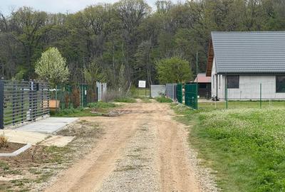 Teren Construcții intravilan de 1500 mp, în Ciolpani - 10