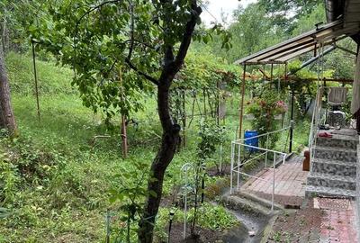 Casă cu 4 camere cu Teren 8421 Mp în Pruni