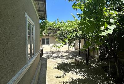 Casă cu Teren 14000 Mp în Bărăganul