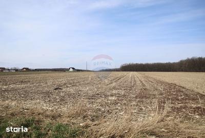 Teren de 9740 mp, în Bosanci - 5