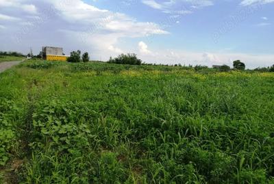 Teren în Tărtășești - 3