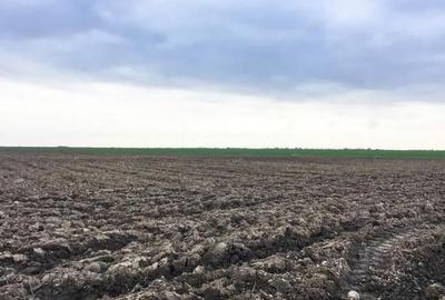 Teren de 75000 mp, în Costești - 2