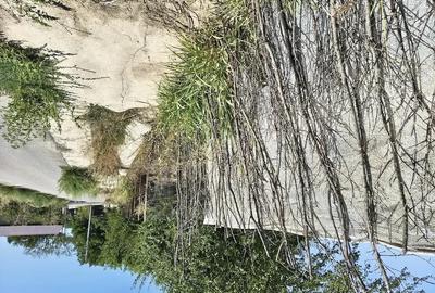 Teren de 1200 mp, în Varlaam - 5